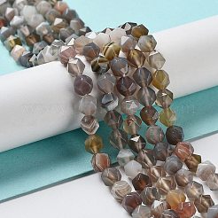Natural Botswana Agate Beads Strands&nbsp;G-NH0002-C01-01