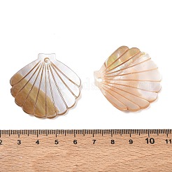 Natural Freshwater Shell Pendants&nbsp;SH-CBACA76-13