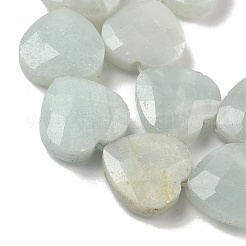 Natural Flower Amazonite Beads Strands&nbsp;G-A309-A10-01