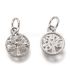 Brass Micro Pave Clear Cubic Zirconia Charms&nbsp;ZIRC-B002-66P