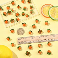 36Pcs Autumn Theme Handmade Lampwork Beads&nbsp;LAMP-FS0001-70