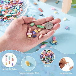 160Pcs 8 Colors Natural Freshwater Shell Beads Strands&nbsp;SHEL-CD0001-06