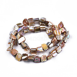Natural Freshwater Shell Beads Strands&nbsp;SHEL-N026-211