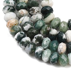 Natural Tree Agate Beads Strands&nbsp;G-C259-A34-5x8mm