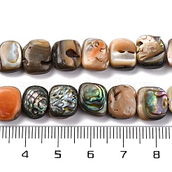 Natural Paua Shell Beads Strands&nbsp;BSHE-B007-02
