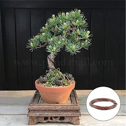 DIY Bonsai Kit&nbsp;DIY-GA0001-10