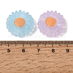 Transparent Acrylic Beads&nbsp;AC-CBAD0C5-07