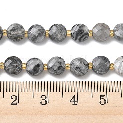 Natural Map Stone Beads Strands&nbsp;G-K389-B84-01