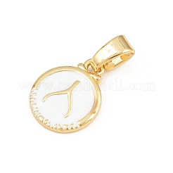 Brass Charms&nbsp;KK-E798-01H-G