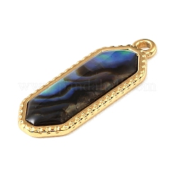 Paua Shell Pendants&nbsp;SSHEL-B145-01F-G