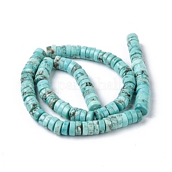Natural Magnesite Beads Strands&nbsp;TURQ-L030-04C-01