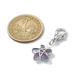 Handmade Lampwork Pendant Decooration&nbsp;HJEW-JM01447
