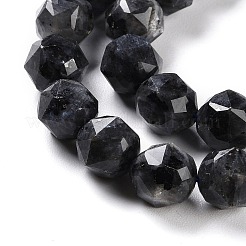 Natural Larvikite Beads Strands&nbsp;G-NH0021-A04-02