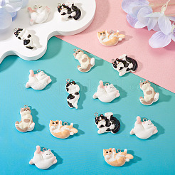 20Pcs Resin Pendants&nbsp;RESI-TA0004-95