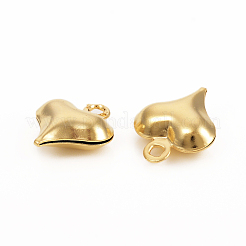 304 Stainless Steel Charms&nbsp;STAS-I149-05A-G