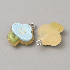 Translucent Resin Pendants&nbsp;RESI-TAC0019-08D