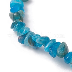 Natural Apatite Chips Beaded Stretch Bracelets for Women&nbsp;BJEW-JB10046-10