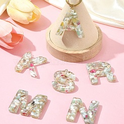 26Pcs 26 Styles Transparent Epoxy Resin Pendants&nbsp;CRES-YW0002-28N