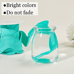 5 Yards Polyester Ribbon Patches&nbsp;OCOR-GF0004-53B