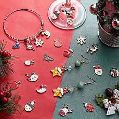 32Pcs 16 Style Alloy Enamel Pendants&nbsp;ENAM-PH0001-74