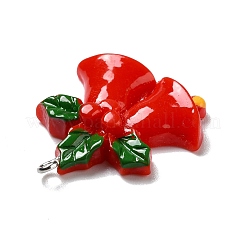 Opaque Resin Pendants&nbsp;RESI-D055-012P