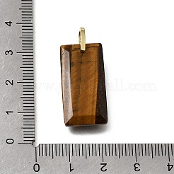 Natural Tiger Eye Pendants&nbsp;GG-CBA7610-05G-06