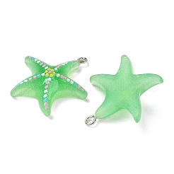 Opaque Resin Pendants&nbsp;RESI-Z040-06P-04