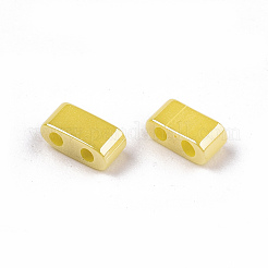 FGB 2-Hole Glass Seed Beads&nbsp;SEED-S031-M-SH122