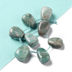 Natural Amazonite Beads Strands&nbsp;G-P528-E04-01