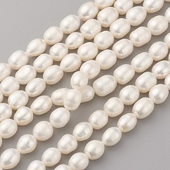 Natural Cultured Freshwater Pearl Beads Strands, Oval, Old Lace, 9~10x7~8mm, Hole: 0.5mm, about 36~38pcs/strand, 14 inch