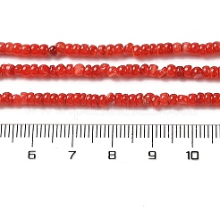 Natural Freshwater Shell Beads Strands&nbsp;SHEL-P017-01B-07