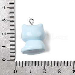 Opaque Resin Pendants&nbsp;RESI-P051-04P-M