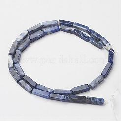 Natural Sodalite Beads Strands&nbsp;G-G968-D02