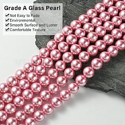 Eco-Friendly Dyed Glass Pearl Round Beads Strands&nbsp;HY-A002-12mm-RB109