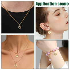 12Pcs 12 Styles Flat Round with Twelve Constellations Brass Charms&nbsp;PALLOY-WR00028
