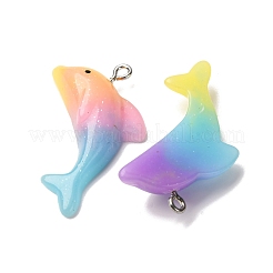 Transparent Resin Pendants&nbsp;RESI-H039-02P