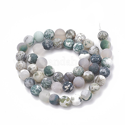 Natural Tree Agate Beads Strands&nbsp;G-T106-038