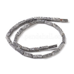 Natural Map Stone/Picasso Stone/Picasso Jasper Beads Strands&nbsp;X-G-G837-05