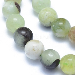 Natural Jade Beads Strands&nbsp;G-L552H-13C