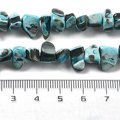 Dyed Natural Trochus Shell Beads Strands&nbsp;BSHE-Z006-01E