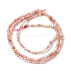 Natural Rhodonite Beads Strands&nbsp;G-F748-U01-01