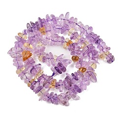 Natural Ametrine Beads Strands&nbsp;G-C250-02