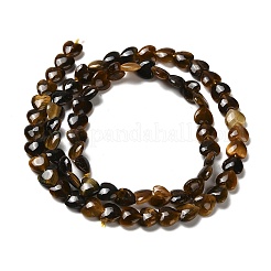Natural Tiger Eye Beads Strands&nbsp;G-P575-C10-6mm