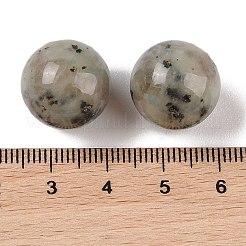 Natural Sesame Jasper No Hole Sphere Beads&nbsp;G-K353-04D-36