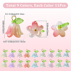 11 Sets Acrylic Beads Pendants&nbsp;FIND-SC0016-66