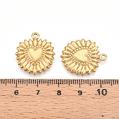 304 Stainless Steel Pendants&nbsp;STAS-N109-119G