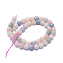 Natural Morganite Beads Strands&nbsp;G-G792-31B
