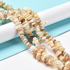 Natural Freshwater Shell Beads Strands&nbsp;G-M205-85B