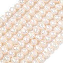 Natural Cultured Freshwater Pearl Beads Strands&nbsp;PEAR-L034-10B
