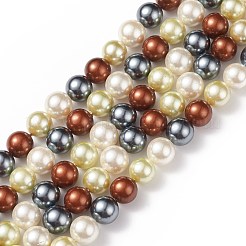 Shell Pearl Bead Strands&nbsp;BSHE-L017-18